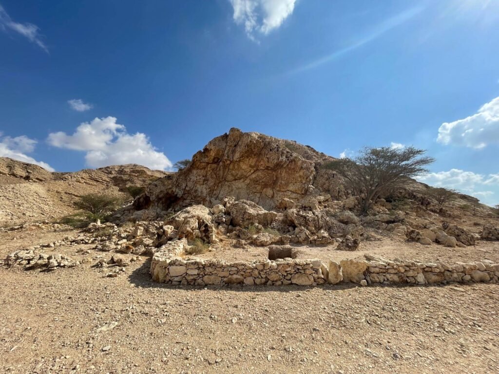 1073474 | صوت الإمارات