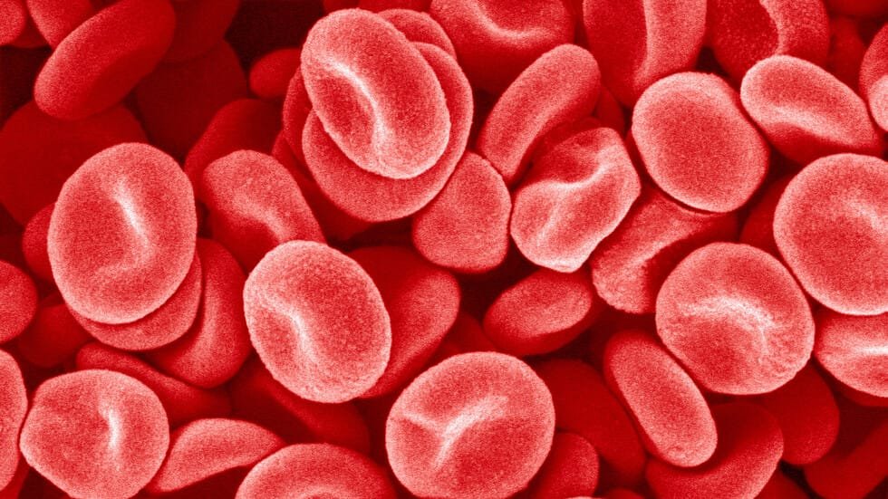 India.. Discovery of a new and unknown blood type in a woman