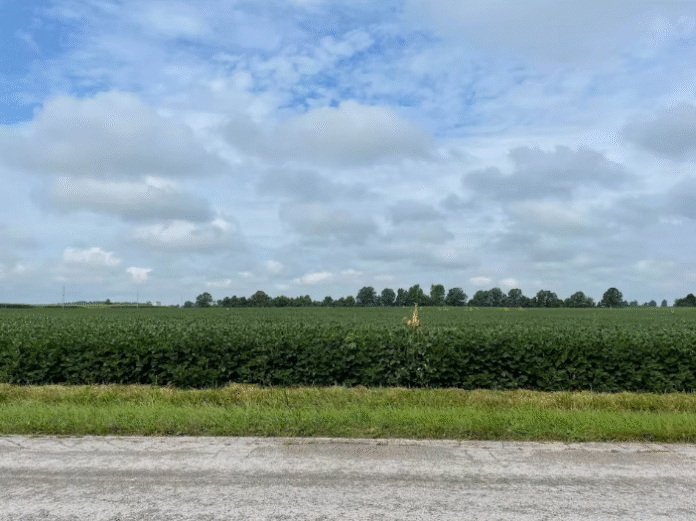 Trump urges China to quadruple soybean deals