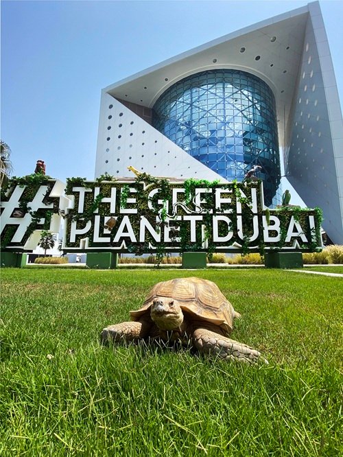 The Green Planet Dubai Image 1 | صوت الإمارات