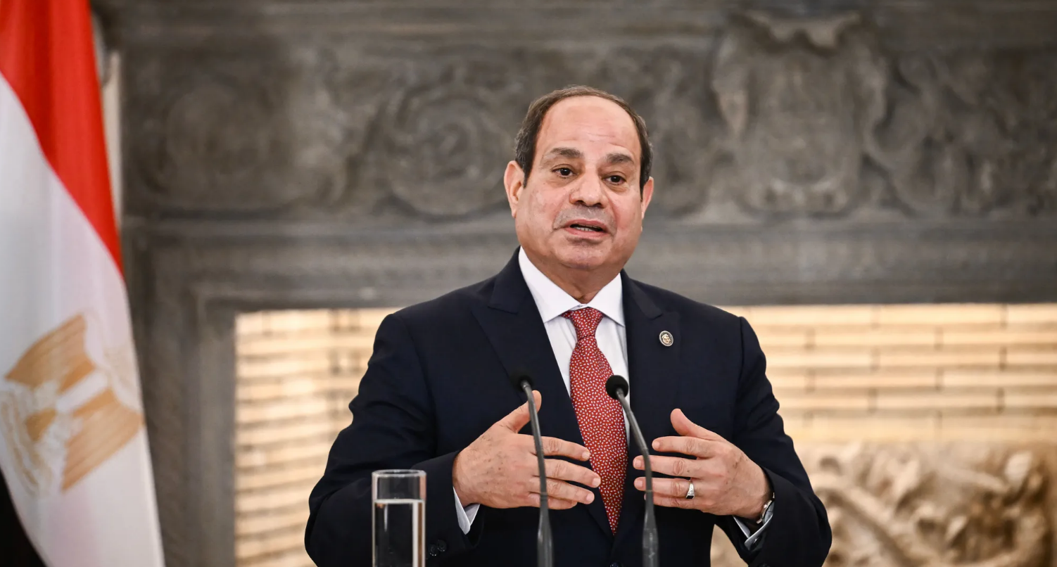 Sisi: We stand up to challenges with thoughtful measures 