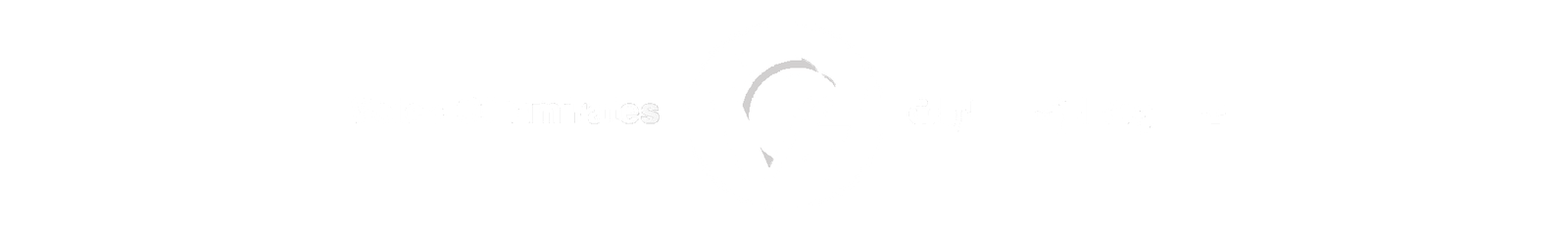 Header Dark Mode VOE Logo