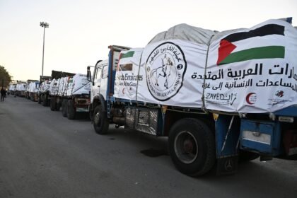 الفارس الشهم