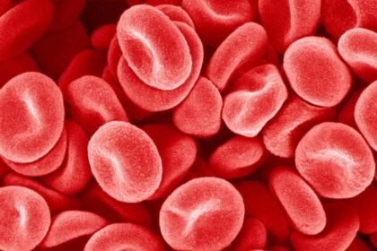 الهند.. اكتشاف فصيلة دم جديدة وغير معروفة عالمياً لدى امرأة