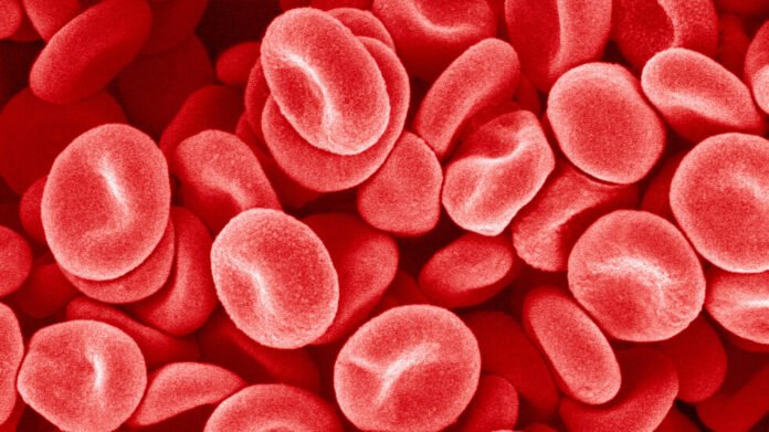 India.. Discovery of a new and unknown blood type in a woman