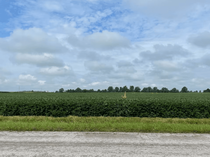 Trump urges China to quadruple soybean deals
