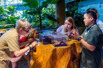 إلى جانب هذه الأيام المخصصة، يزخر برنامج المخيم بأنشطة ممتعة ومتنوّعة