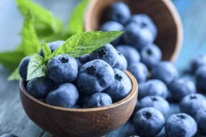 أطعمة تحمي دماغك من الشيخوخة وتزيد حدة الذكاء.. تعرف عليها 