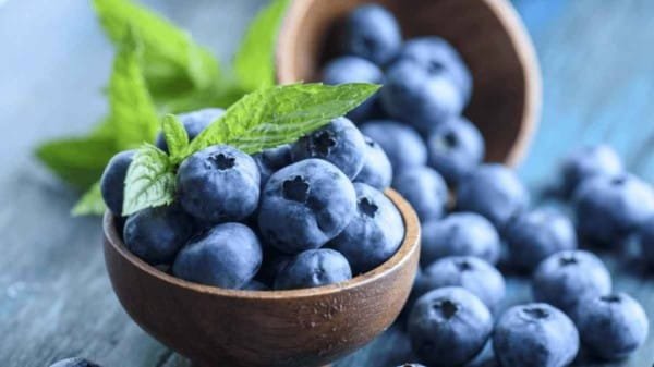 Foods that protect your brain from aging and sharpen your intelligence... Learn about them.