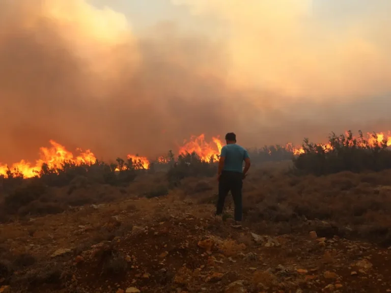 Syrian fires calm down in Latakia.. It is raging in the Hama countryside