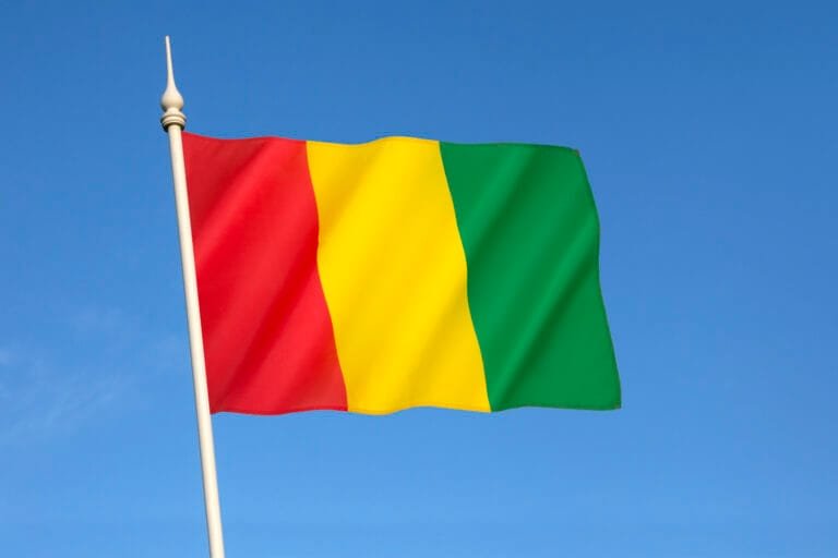 المحكمة العليا في غينيا تصادق على نتائج الاستفتاء الدستوري