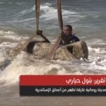 تقرير فيديو: "أتلانتس مصر" تكشف عن أسرارها: مدينة رومانية غارقة تظهر من أعماق الإسكندرية!