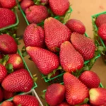 تخلصك من الأرق.. 8 فواكه طبيعية تمنحك نوماً هنيئاً