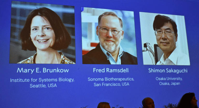 Two Americans and a Japanese win the Nobel Prize in Medicine