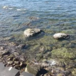 What is the truth about the sandy beach and the "tsunami" in Alexandria?