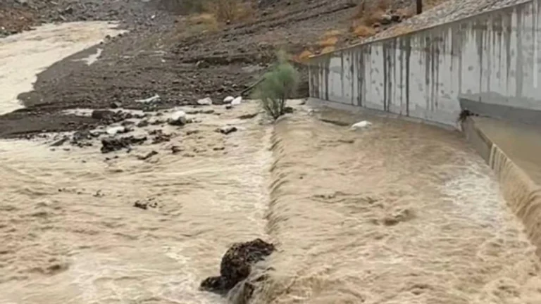 توقعات باستمرارها.. أمطار على مناطق متفرقة في الإمارات