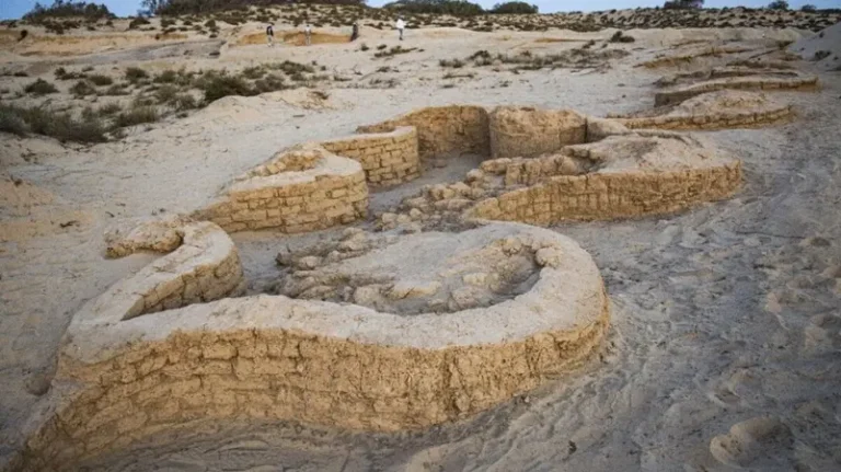 عمرها 3000 عام.. اكتشاف قلعة على الحدود بين مصر وفلسطين