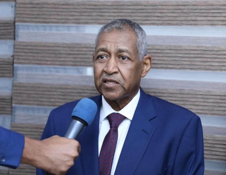 Sudan's Ambassador to Cairo