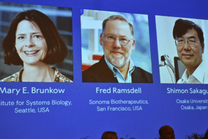 أمريكيان وياباني يفوزون بجائزة نوبل للطب