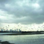 طقس الإمارات.. الوطني للأرصاد يتوقع سقوط أمطار