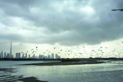UAE weather.. The National Meteorological Service expects rain