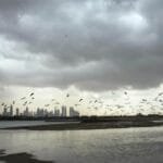 UAE weather.. Meteorology expects possible fog and rain
