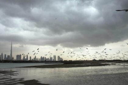UAE weather.. Meteorology expects possible fog and rain