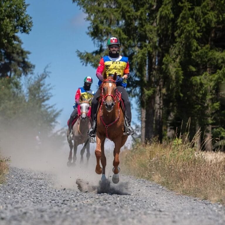 5 riders represent the UAE in the Power Championship at the Asian Games