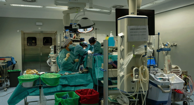 العملية الأولى في العالم.. زراعة كبد خنزير في جسم إنسان