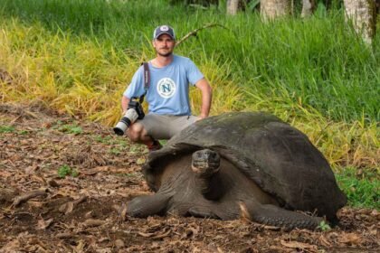 The turtle died in a gram