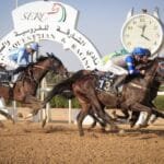 موسم سباقات مضمار الشارقة ينطلق الأحد