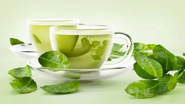 What happens to your body if you drink green tea regularly?