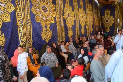 Regularity of Egyptian elections