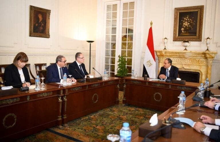 Egyptian Foreign Minister during the meeting