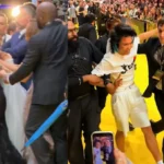 Singapore | Australian citizen deported for harassing American star Ariana Grande