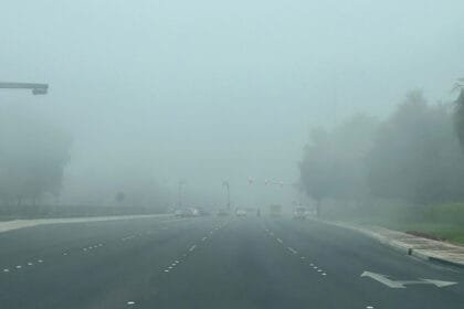It causes horizontal visibility to fall below 100 metres.. Thick fog hinders vehicle movement in the Emirates