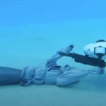 ثورة هندسية مذهلة .. أصداف جراد البحر تتحول إلى أطراف روبوتية تسبح وترفع الأحمال بذكاء غير مسبوق