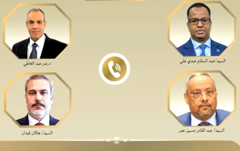 اتصالات بين مصر والصومال وجيبوتي وتركيا لبحث التطورات الأخيرة في القرن الإفريقي
