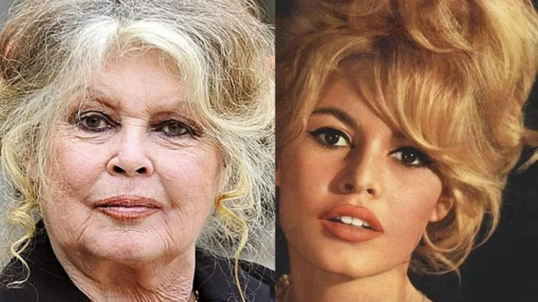 Farewell to the legendary "Baby"... French cinema icon Brigitte Bardot dies at 91