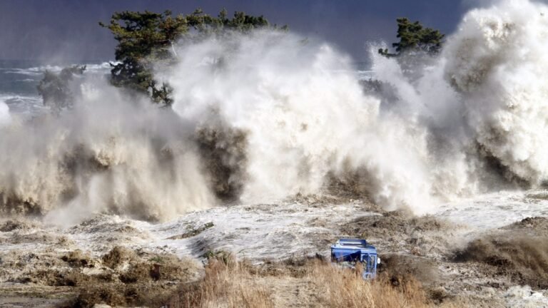 بعد زوال الخطر .. كوريا تنهي حالتي التأهب للعاصفة والتسونامي في 4 مناطق