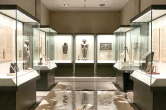 Tragic incident: 400 books damaged in the Egyptian antiquities department of the Louvre Museum