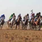 Sharjah.. The eighth edition of the Gulf Cooperation Council Horse Racing Cup begins on Sunday