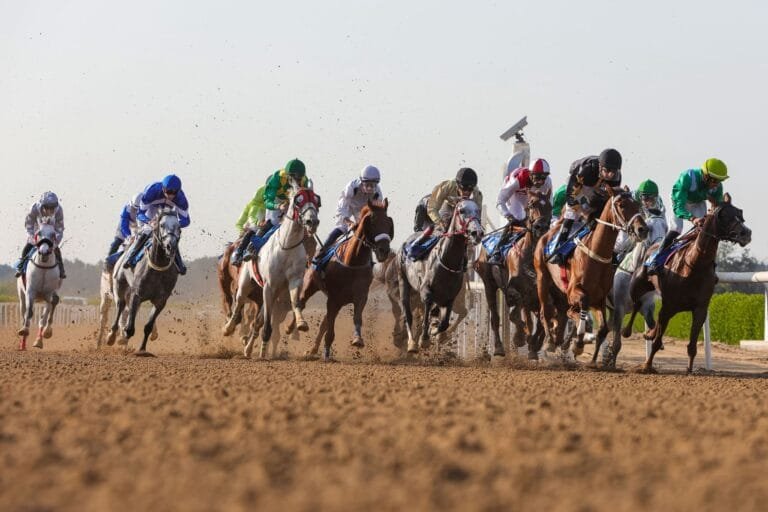 Sharjah.. The eighth edition of the Gulf Cooperation Council Horse Racing Cup begins on Sunday
