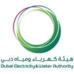 DEWA: 22 new power plants in Dubai in 2025