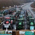 غضب فرنسي على ذبح الأبقار المريضة.. مزارعون يحتشدون بالجرارات ويغلقون الطرق