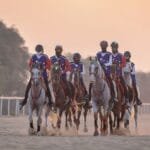 كأس صاحب السمو رئيس الإمارات للقدرة تنطلق الخميس بسباق "الإسطبلات الخاصة"