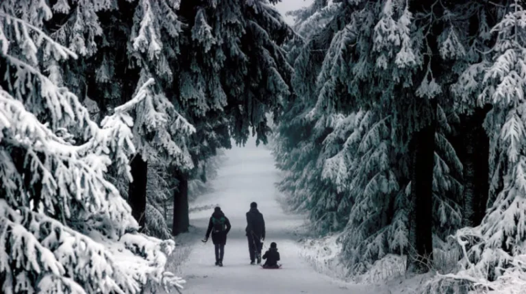 موجة برد قارس تضرب ياقوتيا الروسية وانخفاض الحرارة دون 50 درجة مئوية