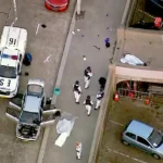 "Transcontinental terrorism"... Israel accuses Iran of the deadly Sydney attack