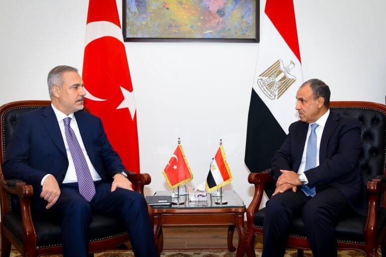 The foreign ministers of Egypt and Turkey discuss the Gaza and Syria files and the Sisi-Erdogan summit.