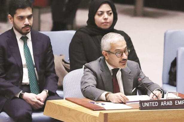 UAE: Efforts must be redoubled to achieve peace and stability in Yemen